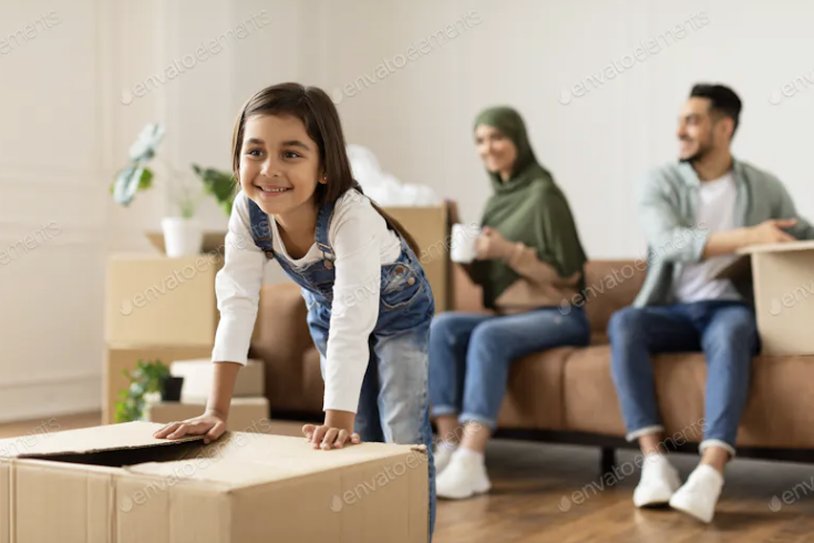 Moving Blankets